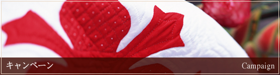 キャンペーン